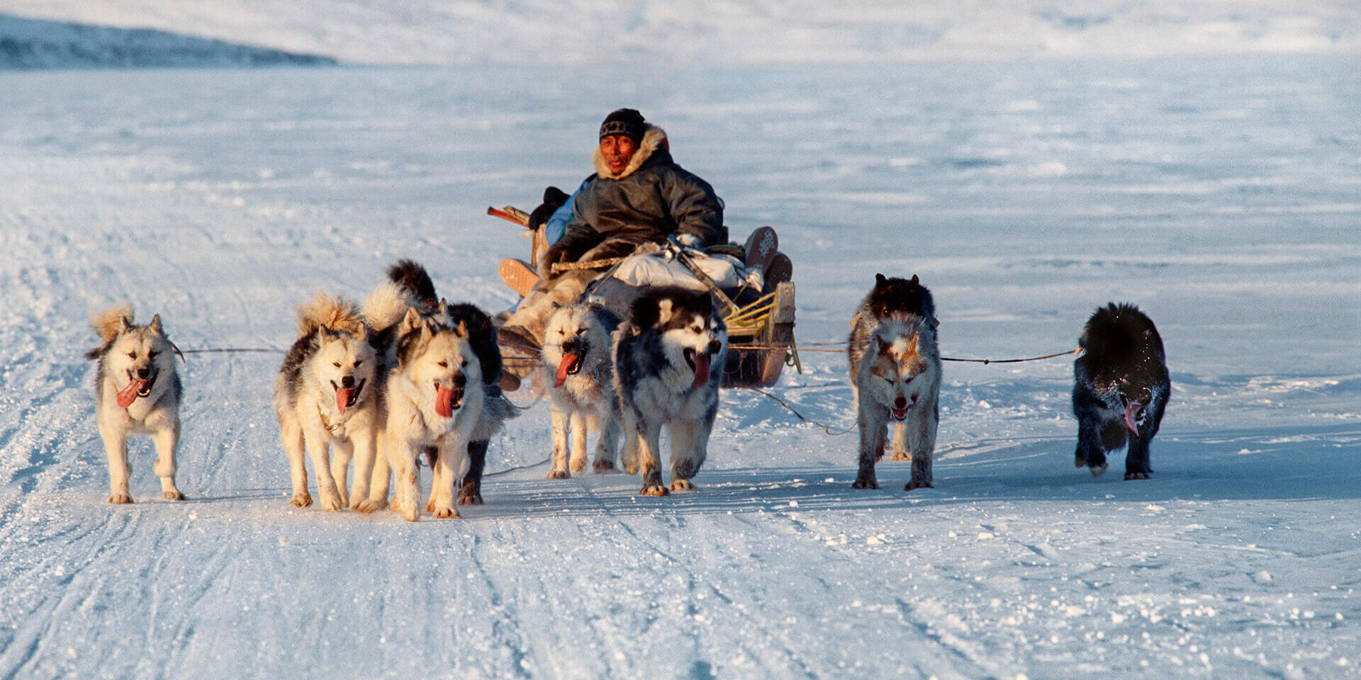 Slitta-sulla-banchisa-Terra-di-Baffin-Canada-1991_Sergio-Ardissone