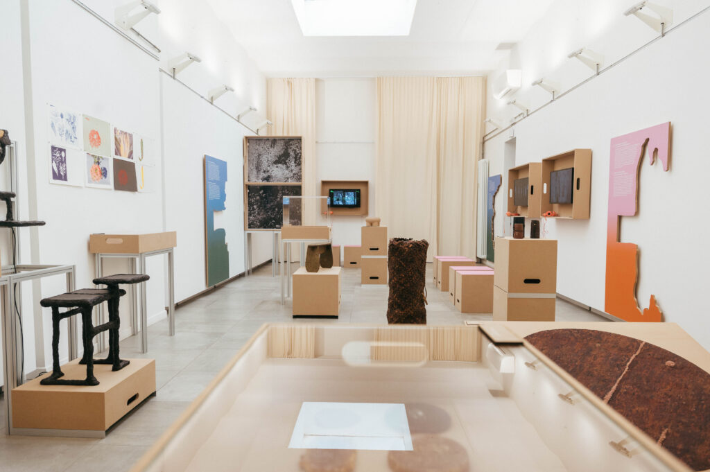Circolo del Design di Torino: una mostra indaga il rapporto tra uomo e foresta