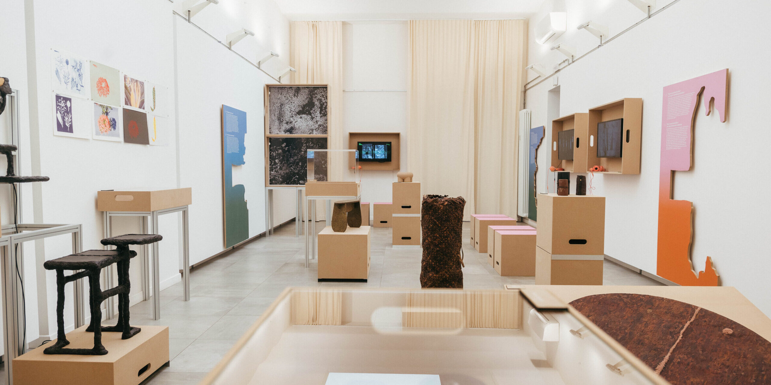 Circolo-del-Design-Earthrise-23-May-Contain-Traces-of-Forest1 Circolo del Design Earthrise 23 - May Contain Traces of Forest