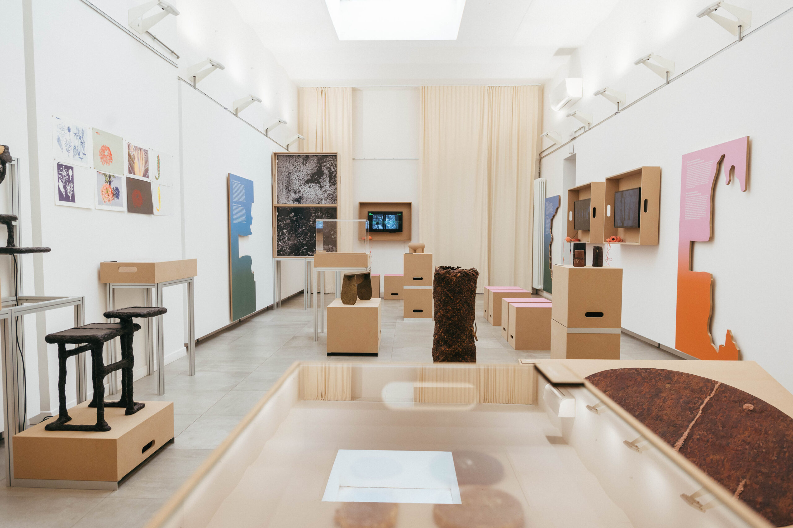 Circolo del Design Earthrise 23 - May Contain Traces of Forest