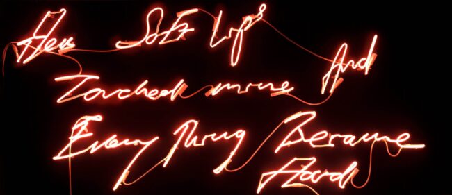 TRACEY EMIN Her Soft Lips Touched mine And Every Thing Became Hard-2008
