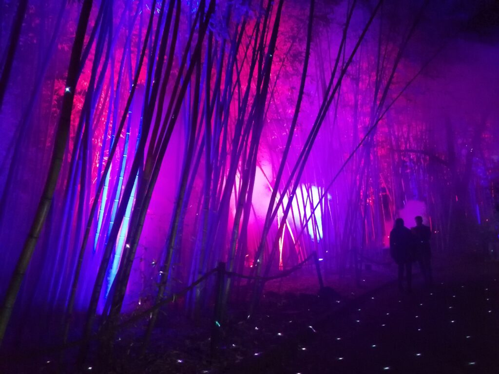 Le “Trame di Luce” che accendono l’Orto Botanico di Roma