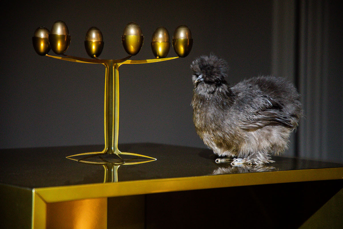 1698908573 OFF GIANNONI & SANTONI New Egg Installation view ph Fabrizio Spucches