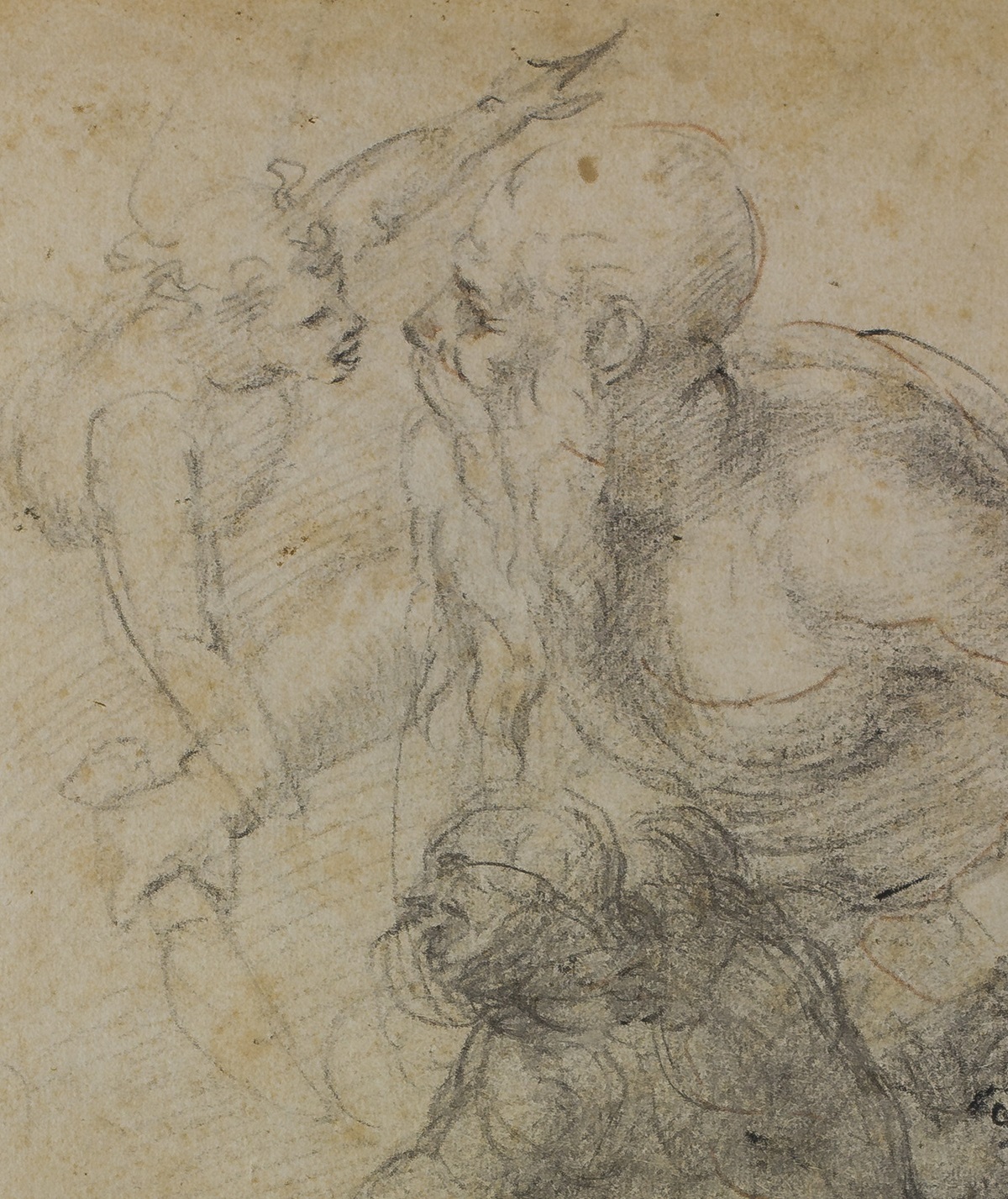 capolavoro-per-lecco-michelangelo Michelangelo, Il sacrificio di Isacco, dettaglio