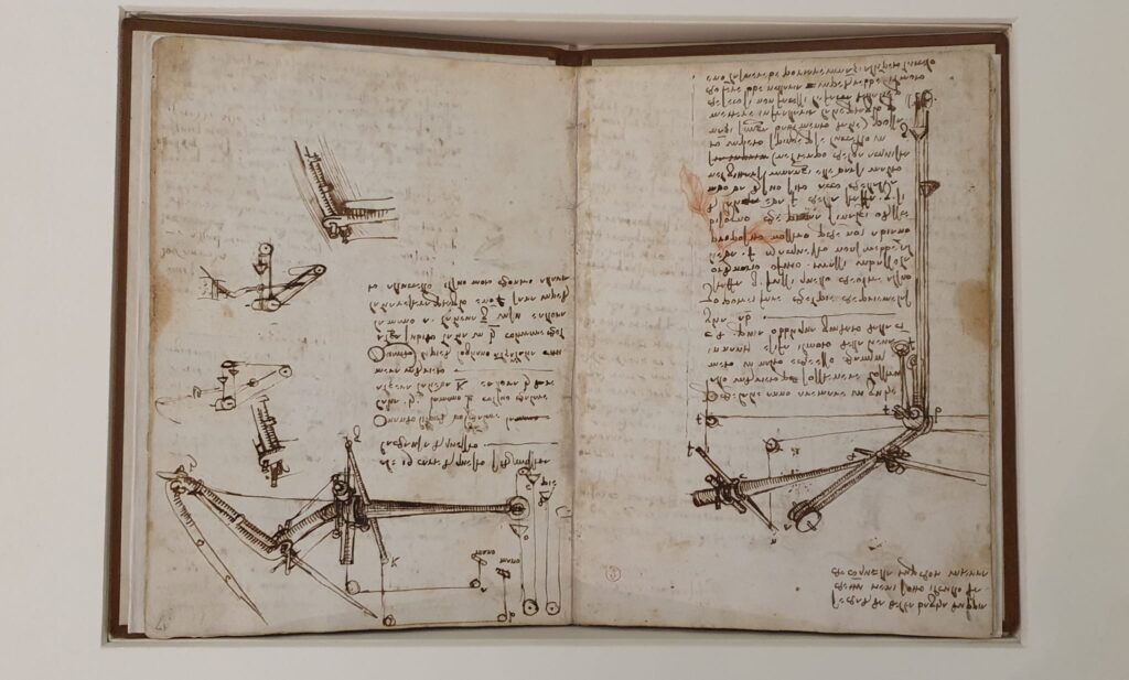 Leonardo da Vinci al Museo della Città di Livorno