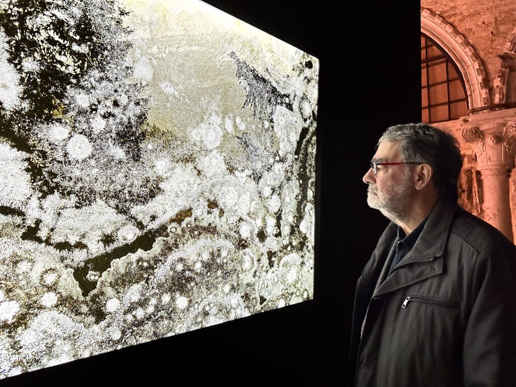 Il fotografo Joan Fontcuberta al Museo Fortuny di Venezia