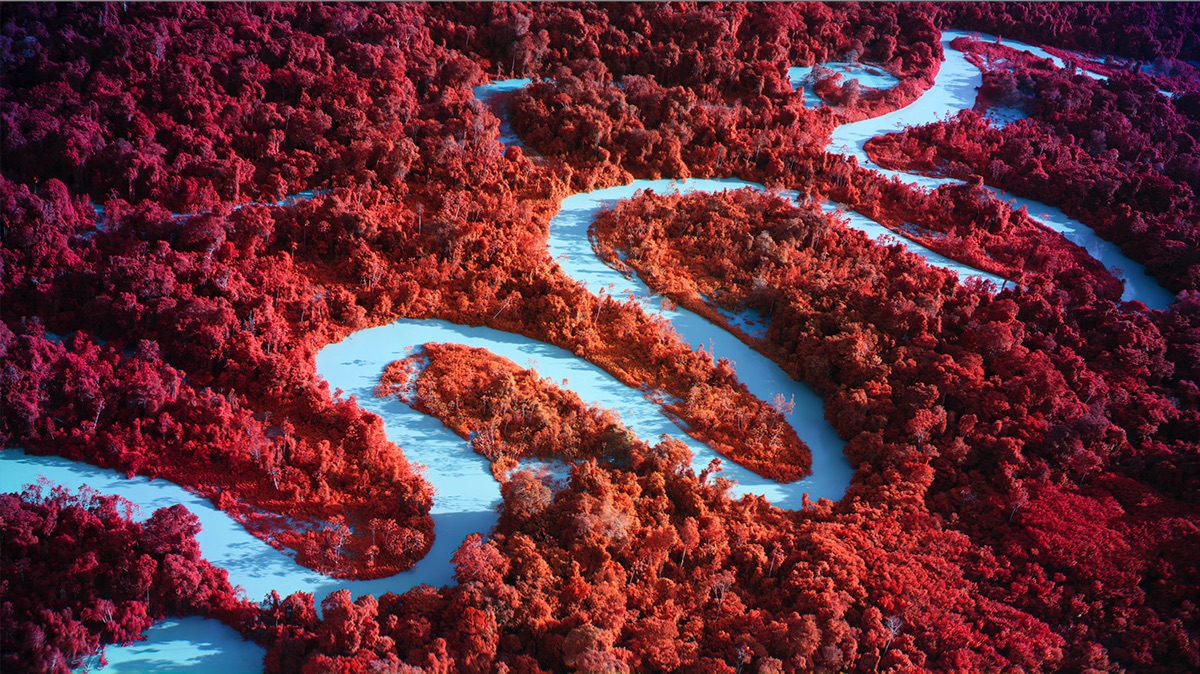 Richard Mosse, Broken Spectre, 2022. Film still, immagine di un fiume celeste che attraversa una vegetazione di colore rosso
