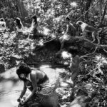Sebastião Salgado: la foresta amazzonica in 200 scatti al Salone degli Incanti di Trieste