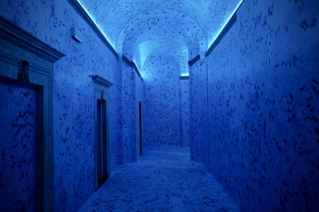 Al Chiostro del Bramante “Emotion”: la mostra che racconta le emozioni