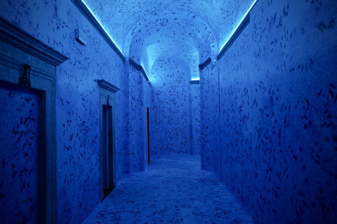 Pietro Ruffo Ancora qualche millimetro di libertà, 2023 vernice catarifrangente e stampa su pellicola / reflective paint and film print, dimensioni ambientali / variable dimensions prodotto e commissionato da DART Chiostro del Bramante / produced and commissioned by DART Chiostro del Bramante courtesy: l'artista / the Artist photo adicorbetta