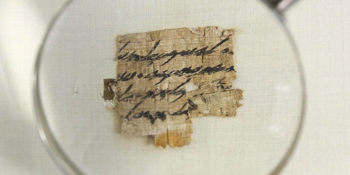 papiro-ercolanese Frammento di un papiro di Ercolano