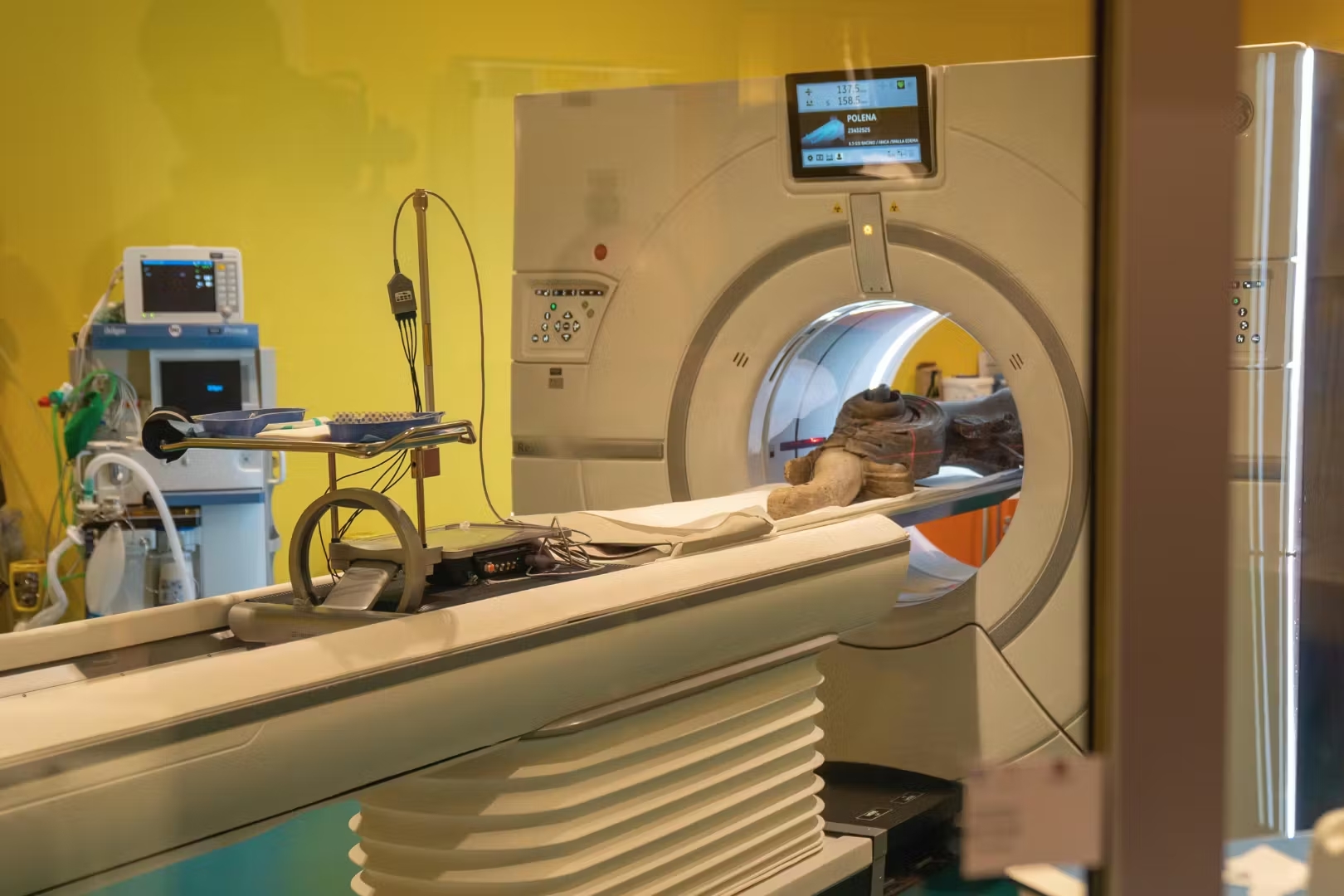 La-cultura-del-progetto_Courtesy-Scuola-di-Restauro-di-Botticino La cultura del progetto - Courtesy Scuola di Restauro di Botticino