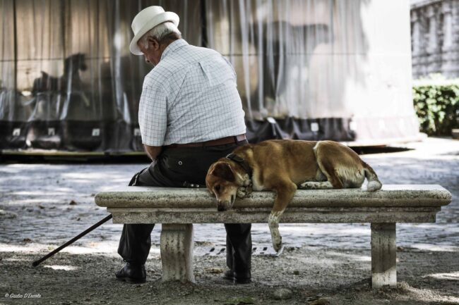 5.-Symbiosis Giulio D’Ercole, Symbiosis