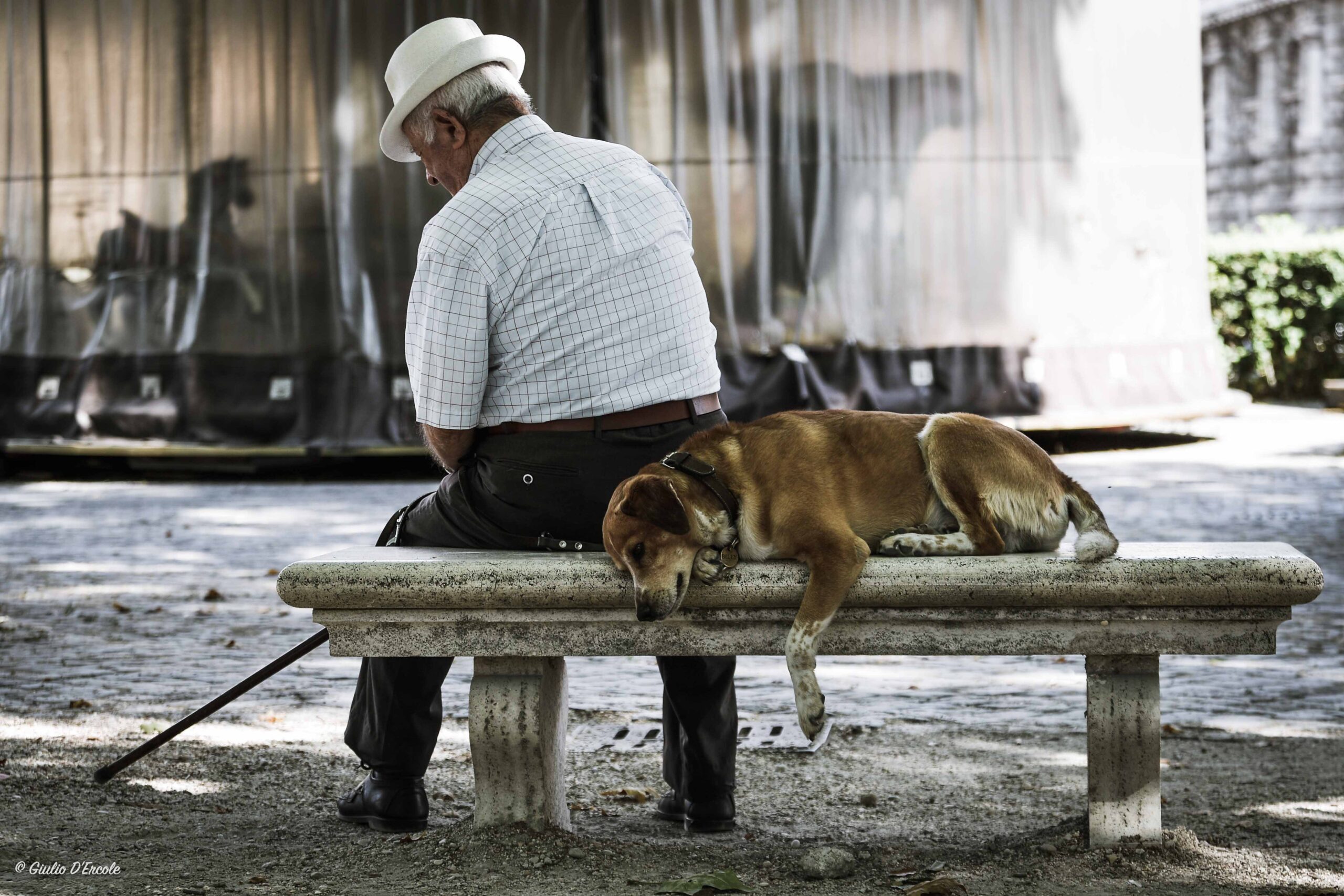 5.-Symbiosis Giulio D’Ercole, Symbiosis