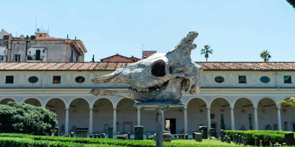 Camelopardalis di Elisabetta Benassi nel Chiostro di Michelangelo alle Terme di Diocleziano