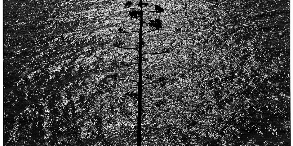 2. Ugo Mulas, Ossi di seppia, Monterosso, Liguria, Italy, 1962 Photo Ugo Mulas © Ugo Mulas Estate. All rights reserved
