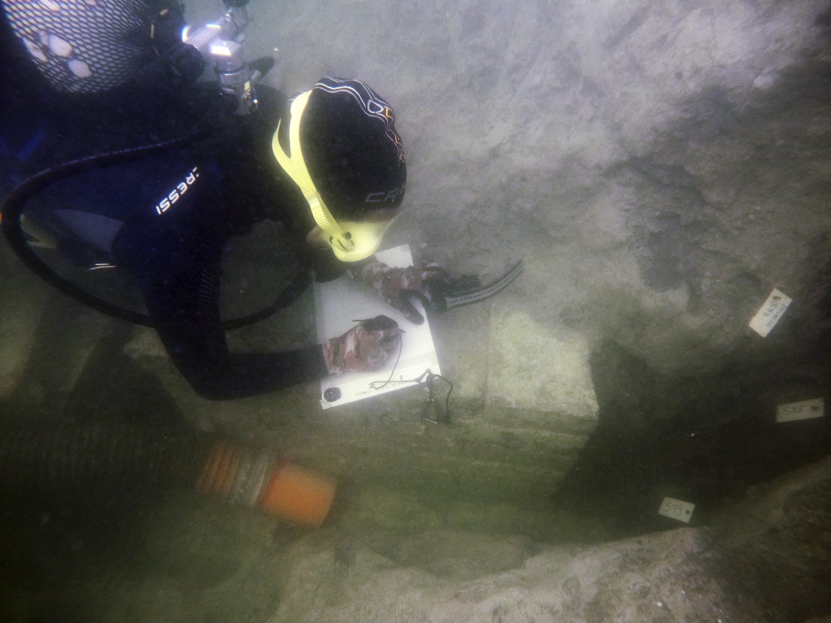Scavo archeologia subacquea, ritrovamento di un "viviarium", mosaici e affreschi romani nella laguna di Venezia © Università §Ca’ Foscari Venezia