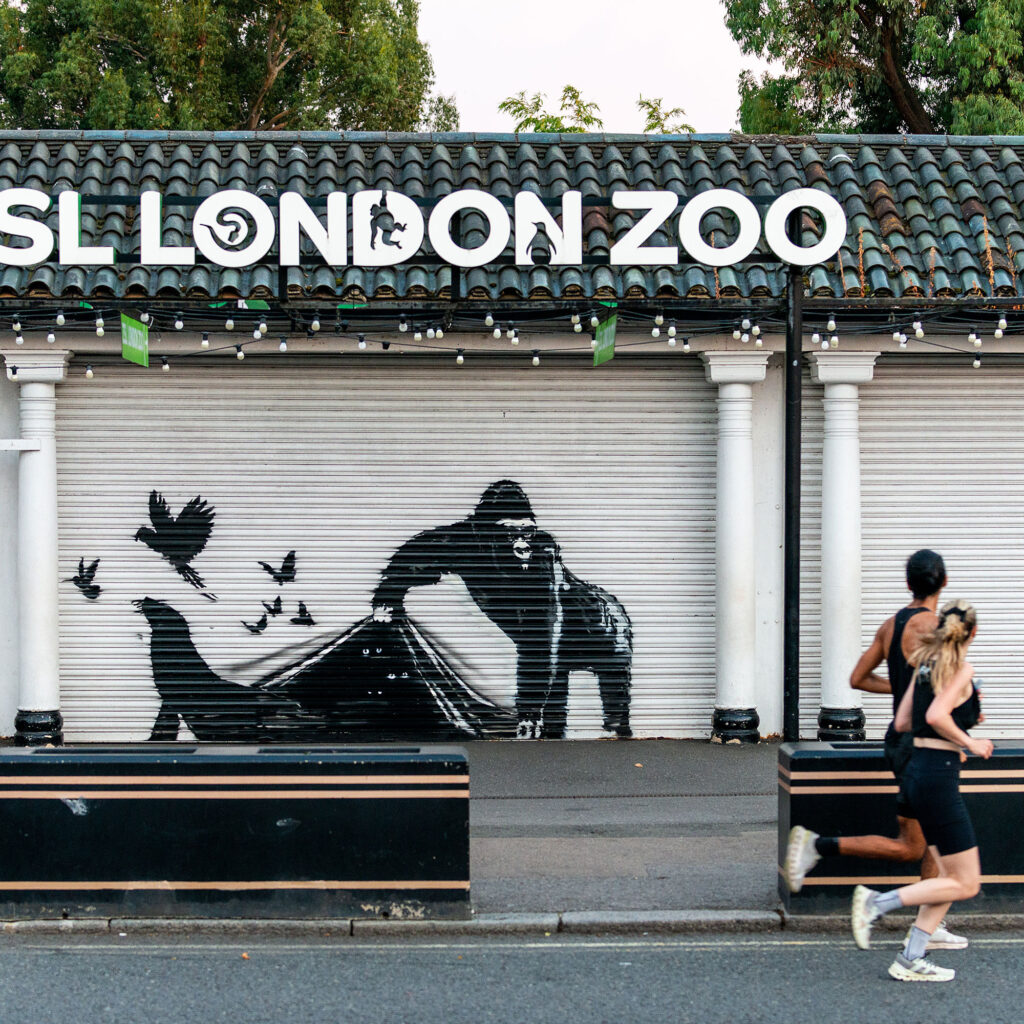 London Zoo, il safari urbano di Banksy