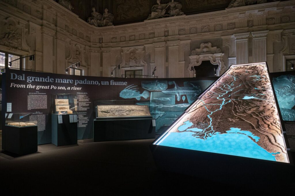 Change! La crisi climatica in mostra a Palazzo Madama a Torino
