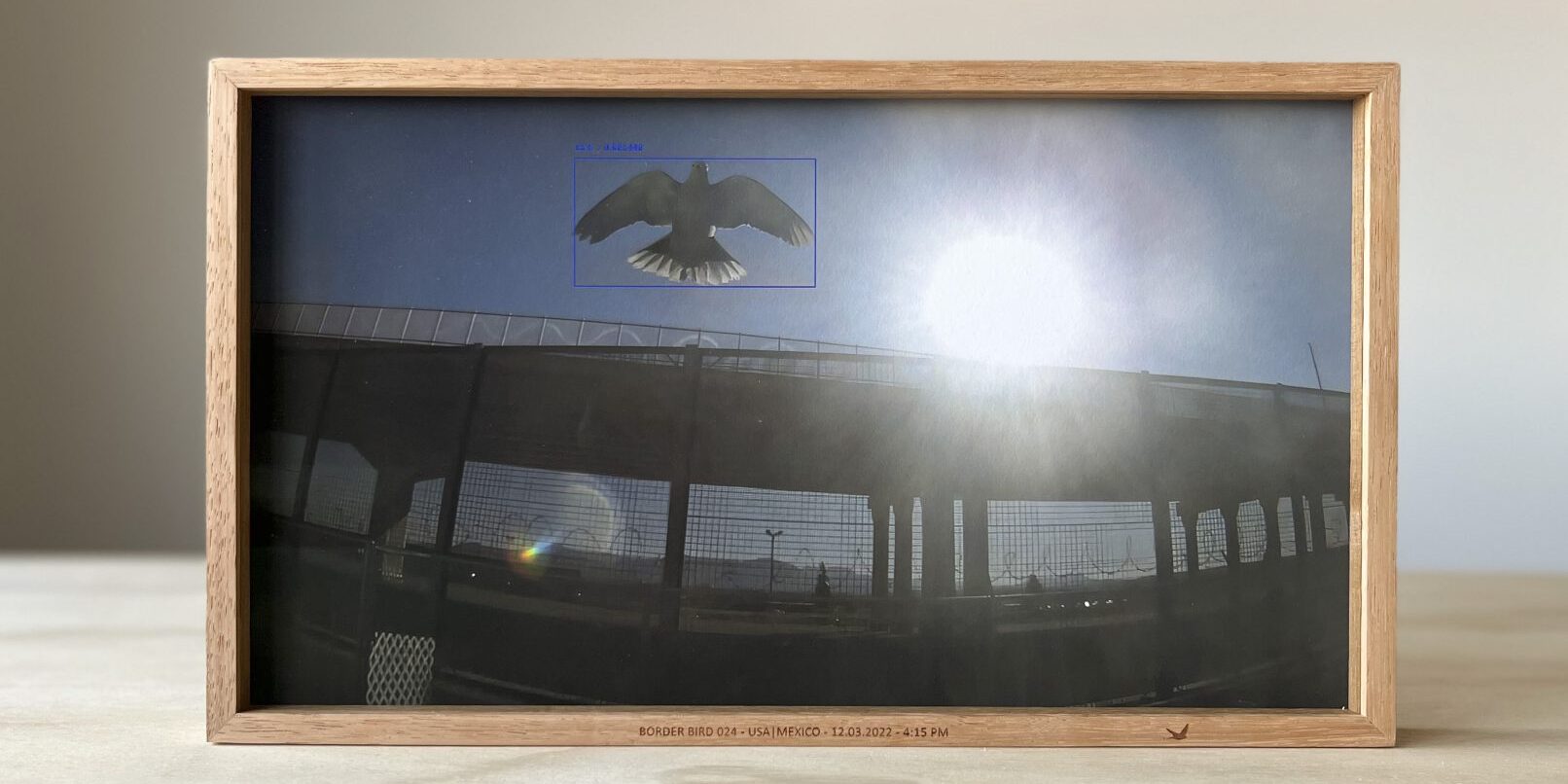 Dries Depoorter & Bieke Depoorter, Border birds frame, USA Mexico_6 border, 1612×1343 Dries Depoorter & Bieke Depoorter, Border birds frame, USA Mexico_6 border, 1612x1343