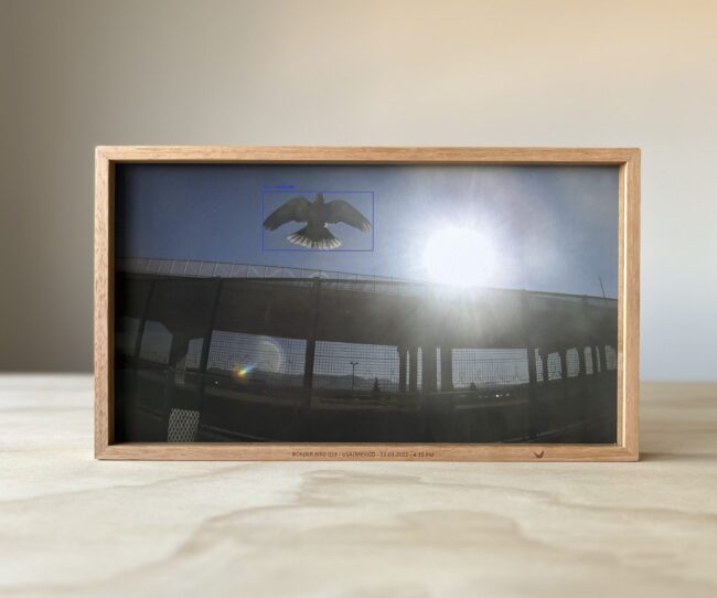Dries Depoorter & Bieke Depoorter, Border birds frame, USA Mexico_6 border, 1612×1343 Dries Depoorter & Bieke Depoorter, Border birds frame, USA Mexico_6 border, 1612x1343