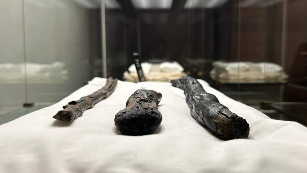 Firenze: una mostra e un convegno sulle sfide ambientali della Preistoria