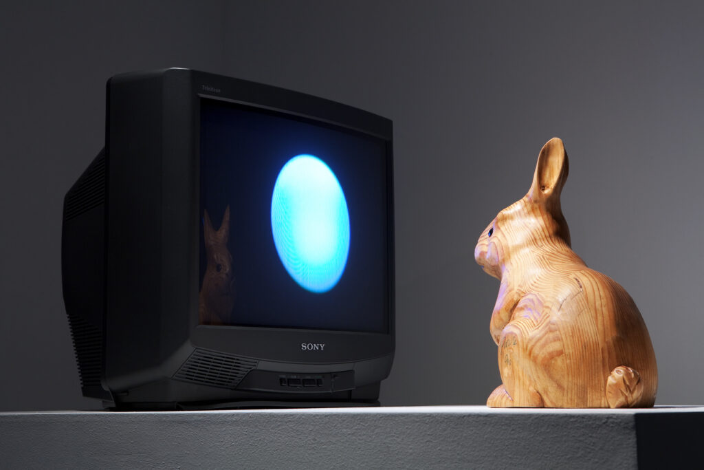Rabbit Inhabits the Moon. L’arte di Nam June Paik al Mao di Torino
