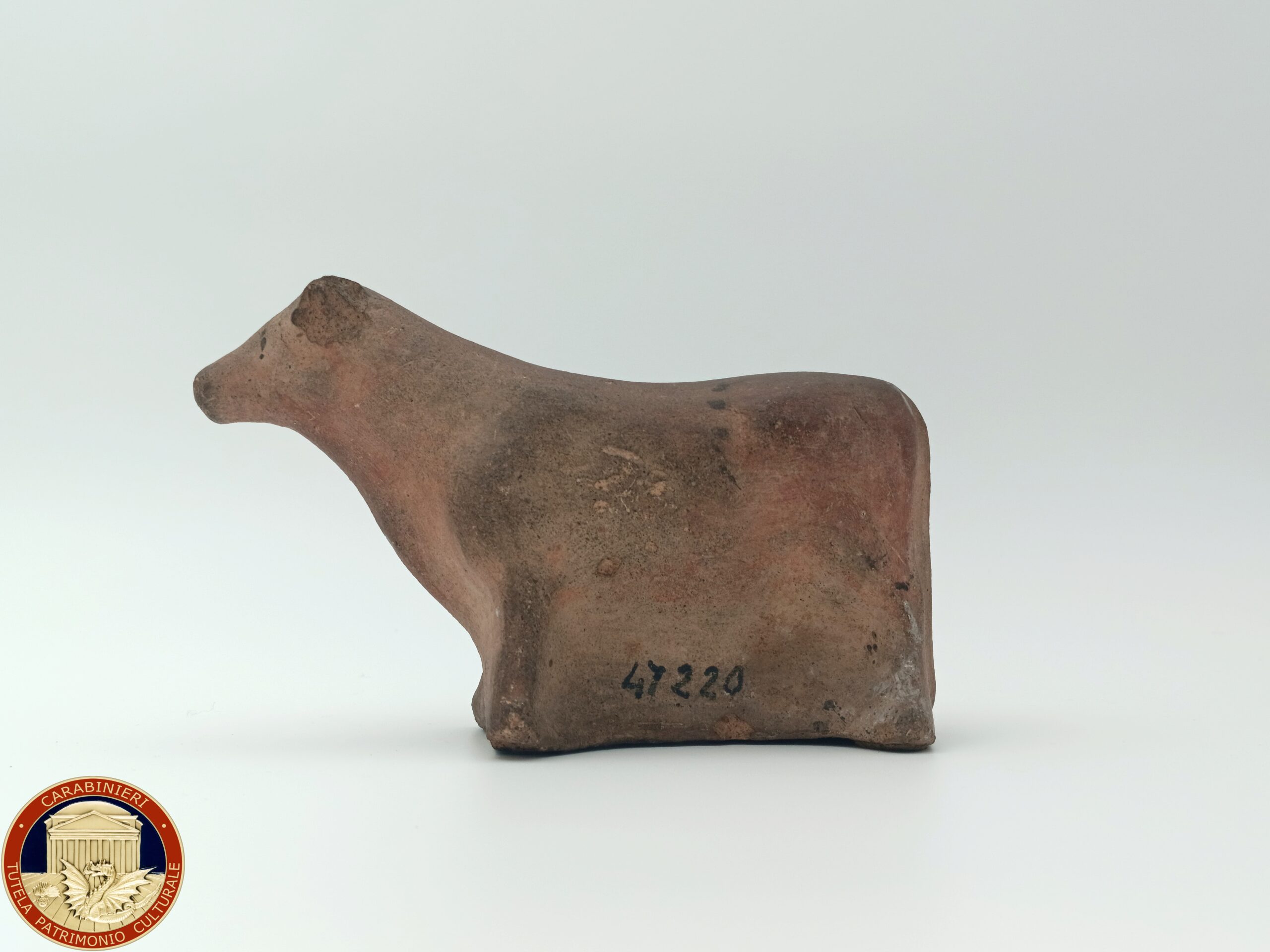 foto toro con logo Il “Torello di Veio” restituito al Museo Nazionale Romano