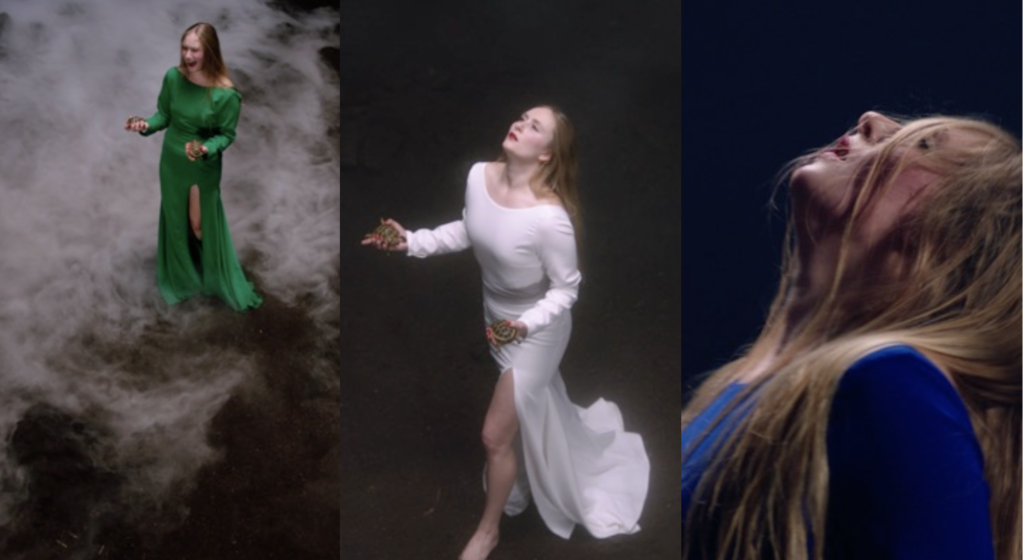 Intervista a Melania Rossi, curatrice della mostra “Stella” di Jan Fabre