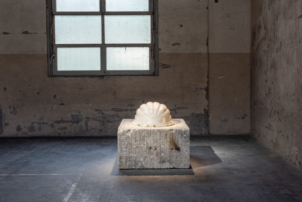 Manifattura Tabacchi. “Anche in un castello si può cadere”, prima mostra del progetto Wonderful