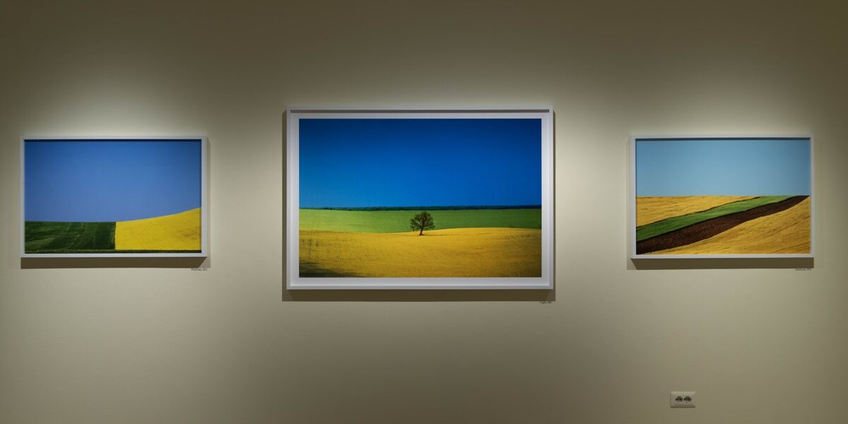 35_AraPacis_Franco Fontana_Ph. Monkeys Video Lab_12.12.24 AraPacis_Franco Fontana_Ph. Monkeys Video Lab