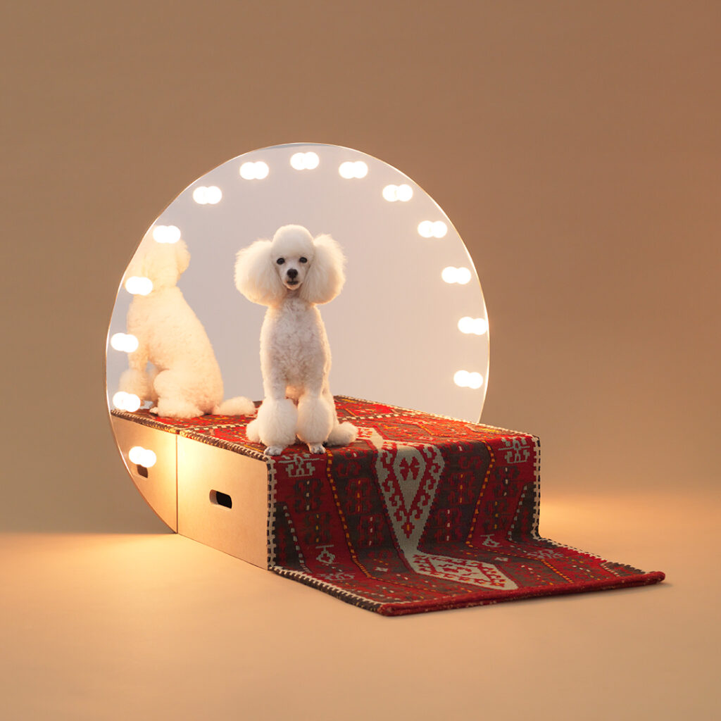 Architecture for Dogs: il design ripensa il rapporto tra uomo e animale all’ADI Design Museum