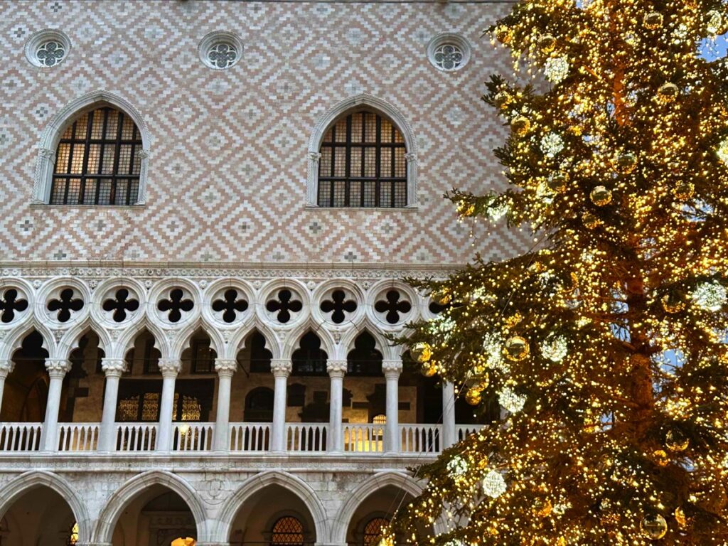 Musei Civici di Venezia: 2024, un anno di crescita