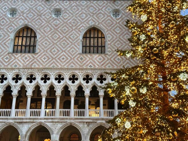 MUVE_Natale MUVE_Natale