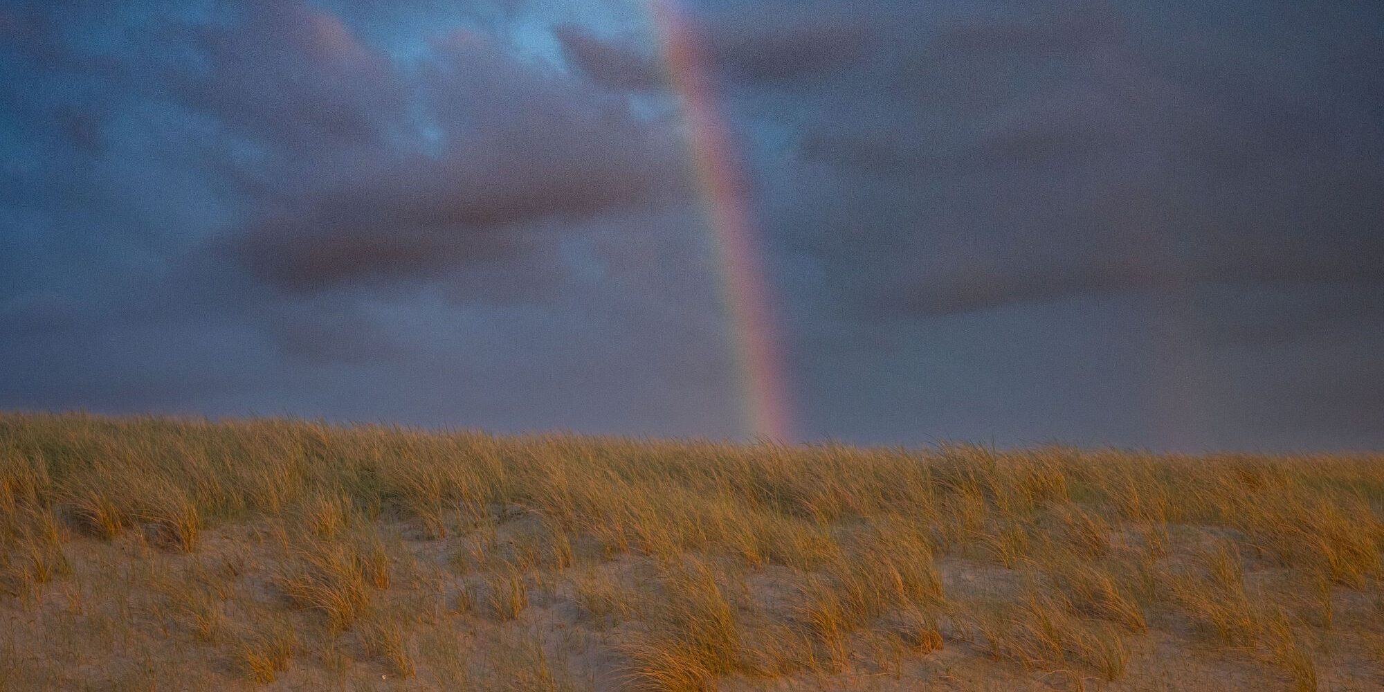The Rainbow Over Florence @Manifattura Tabacchi ph Piero Percoco.jpg