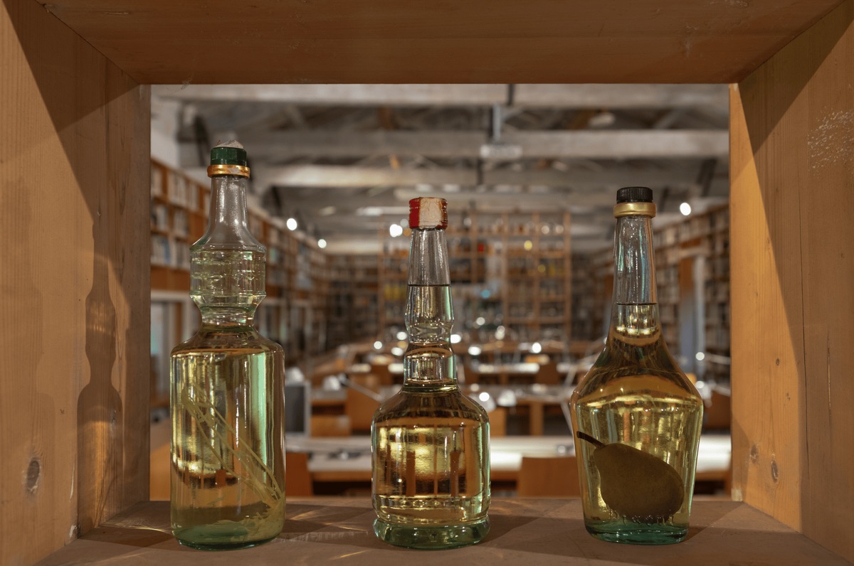 Flavio Favelli, Nuova Mixage Up, Fondazione Zeri. Foto Trapezio Roveda