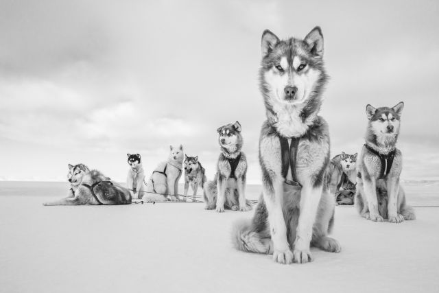 Greenland Last Ice Qaanaaq, Groenlandia. 2015 © Cristina Mittermeie