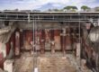 Megalografia Regio IX © Parco Archeologico di Pompei