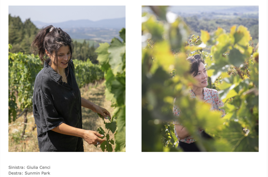 Artisti per Frescobaldi: il dialogo tra arte, territorio e natura nella settima edizione