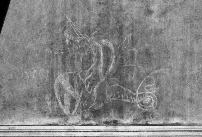 drago_di_vinci_particolare_img Drago di Vinci, particolare