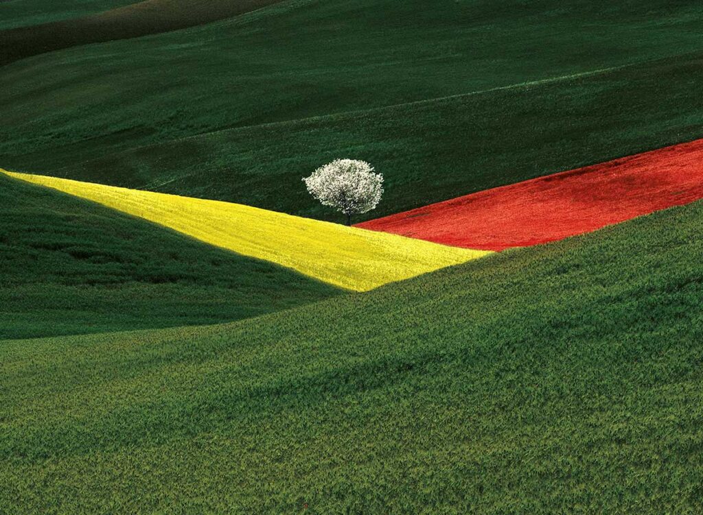 Franco Fontana a Latina, un workshop e un concorso di fotografia