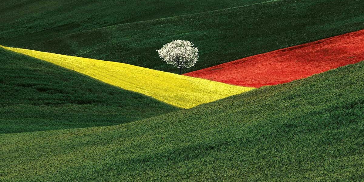 @Franco Fontana, Puglia 1995