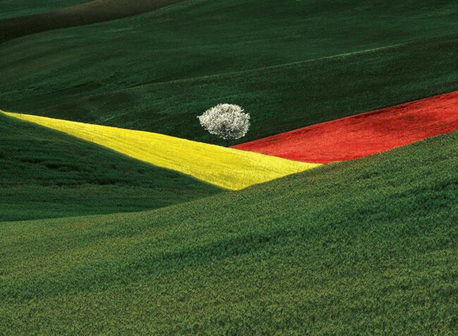 @Franco Fontana, Puglia 1995 @Franco Fontana, Puglia 1995