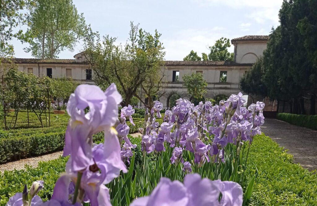 Aprile a Palazzo Ducale di Mantova, gli appuntamenti da non perdere