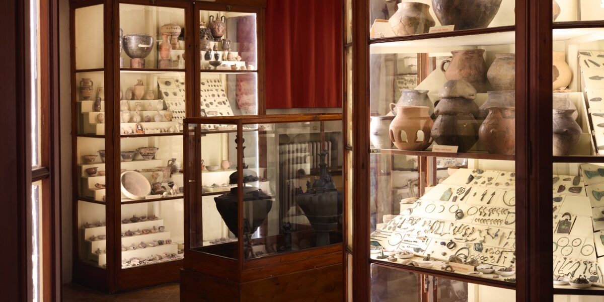 Marco Maria Zanin. Acacia. Installation view. Museo ‘Gaetano Chierici’ di Paletnologia, Palazzo dei Musei, Reggio Emilia 2025. Ph. Alberto Sinigaglia