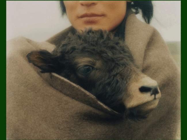 ezgif.com-animated-gif-maker (25) Kin Coedel, Kampot with his baby yak; Marcelo Pérez del Carpio, Leap Forward; Bettina Pittaluga, LEILA NOUR, BLUE YSSA & AZUL; Daniel Kordan, Elephants Sanctuary
