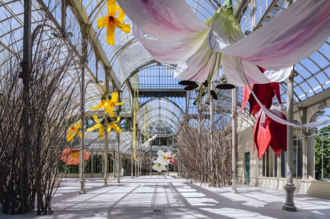 2_2020_Palacio de Cristal Madrid_To a raven ph Miguel de Guzman