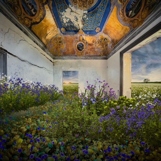 Aldo Salucci_Blue Velvet, 2025, Fotografia digitale su CromaLuxe, ed 1_5, 110 x 110 cm