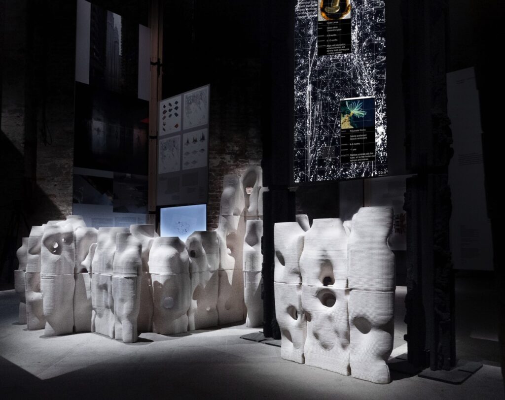Dotdotdot alla Biennale Architettura 2025: tre progetti per una visione planet-centered