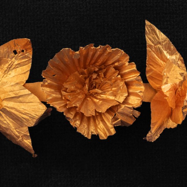 L1050628